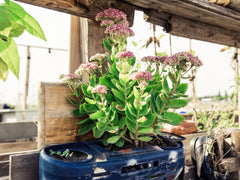 Die besten Nachhaltigkeits-Vorsätze für 2021: Wie Du mehr Nachhaltigkeit im Alltag umsetzten kannst